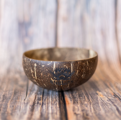 Coconut Shell Bowl